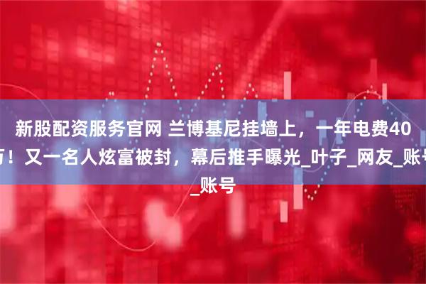 新股配资服务官网 兰博基尼挂墙上，一年电费40万！又一名人炫富被封，幕后推手曝光_叶子_网友_账号