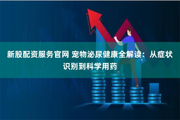 新股配资服务官网 宠物泌尿健康全解读：从症状识别到科学用药